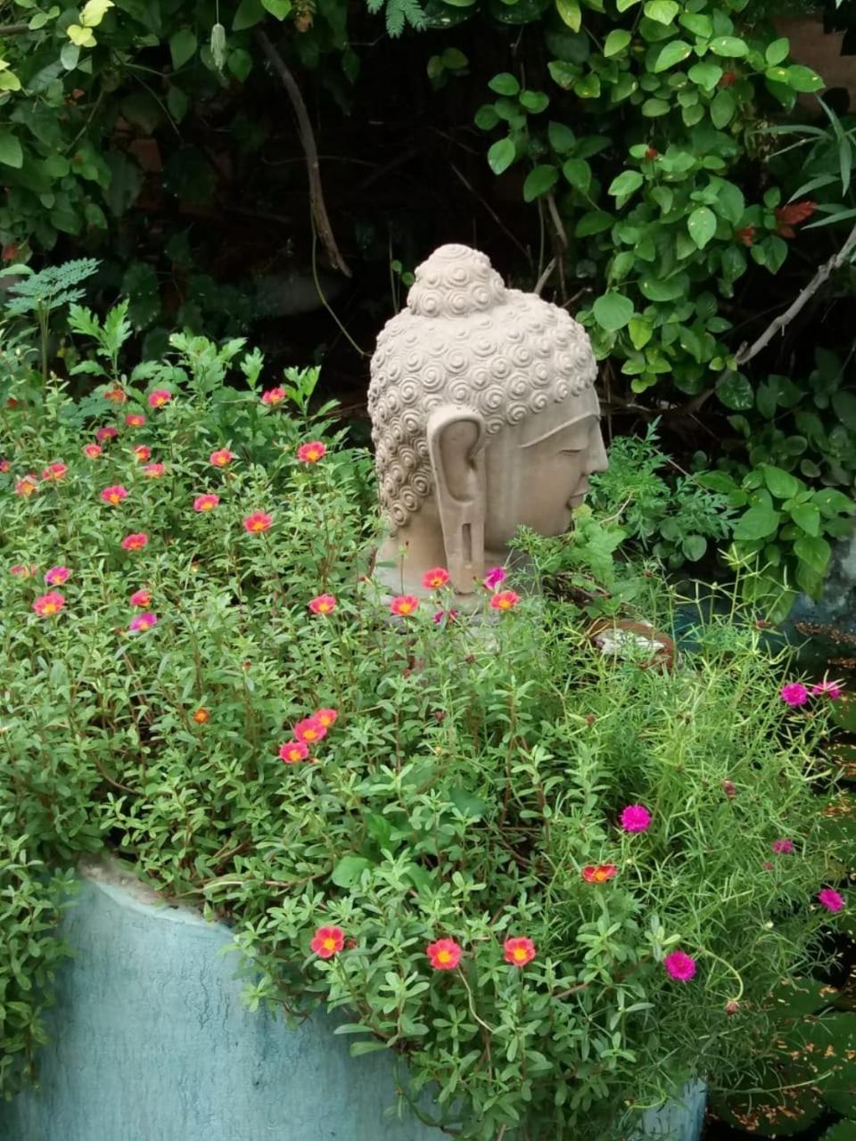 Zorba The Buddha Homestay 克久拉霍 外观 照片